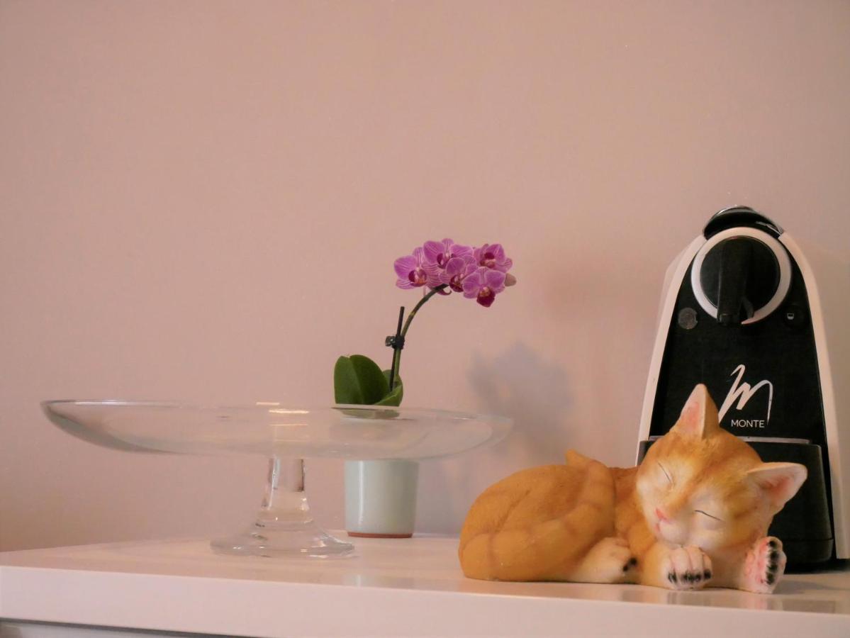 Apartments Kety ロヴィニ エクステリア 写真